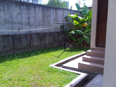 belakang homestay